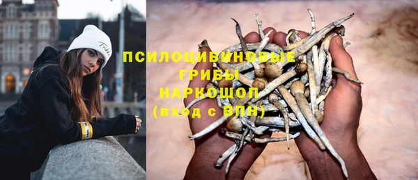 круглые Алексеевка