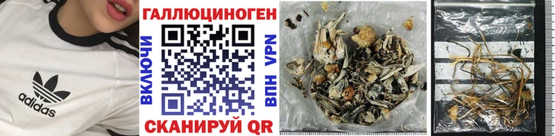 Псилоцибиновые грибы Psilocybine cubensis  Пущино 